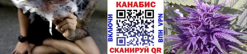 Марихуана сатива  Суздаль 